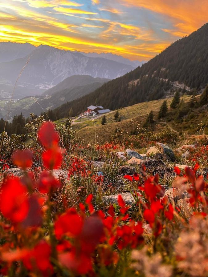 Die Acherberg Alm オエッツ エクステリア 写真