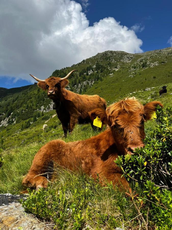 Die Acherberg Alm オエッツ エクステリア 写真