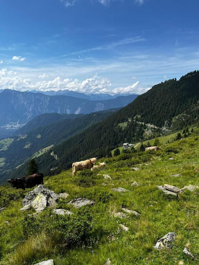 Die Acherberg Alm オエッツ エクステリア 写真